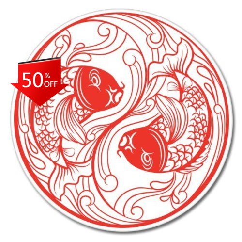 Koi Fish Yin Yang Unique Campe - Laptop Unique Accessories recension och pris