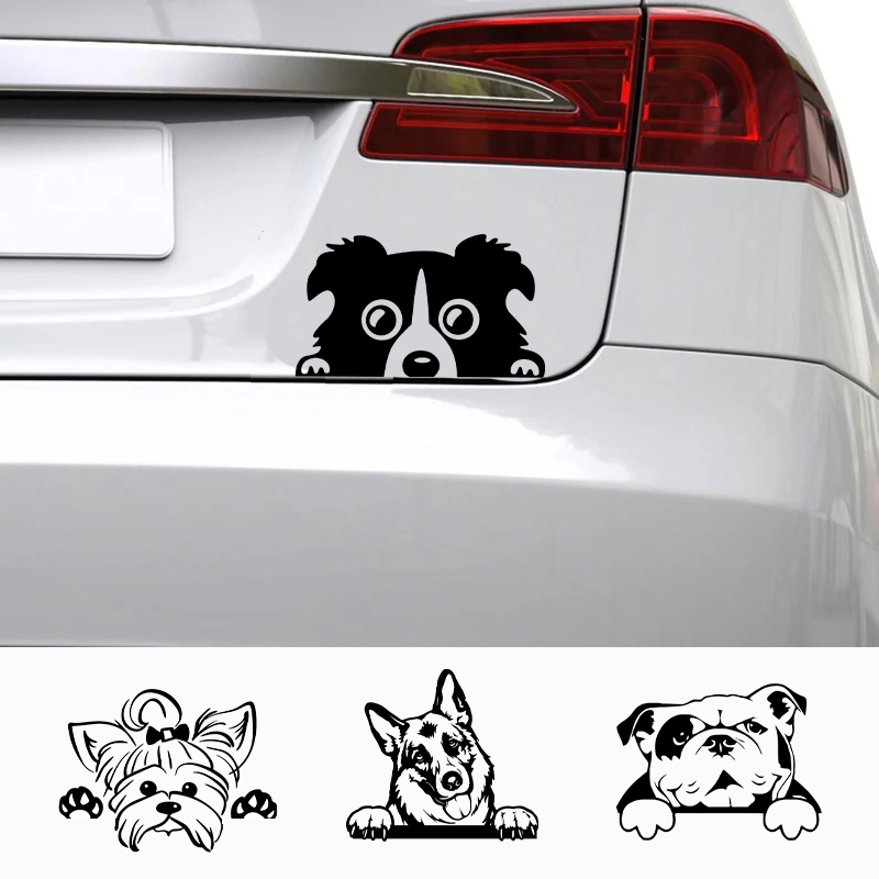 Cars Accessorie Decals Funny D - Laptop Accessories And Gadgets recension och pris